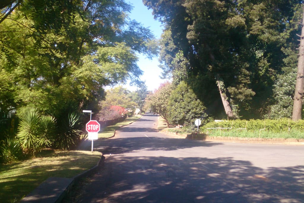 Street view of Outeniqua Str