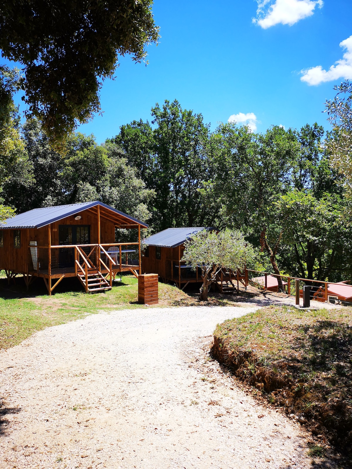 Two wooden cabins are set amidst lush greenery, surrounded by trees and a clear sky. A gravel path leads to the cabins, showcasing their rustic charm and inviting porches. The landscape offers a serene and tranquil environment for relaxation.