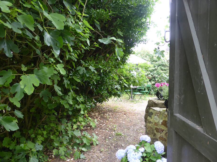 Le jardin