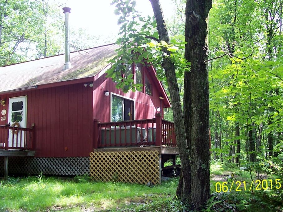 The south deck overlooking the forest.
