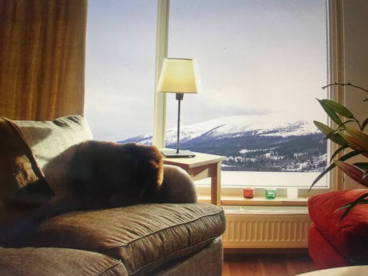 إطلالة من غرفة المعيشة