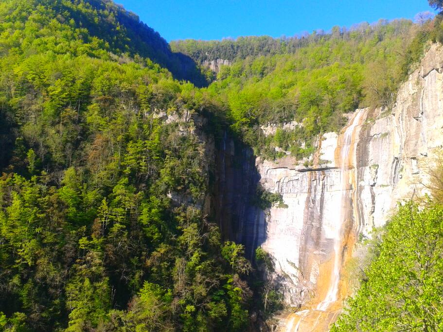 Camino que sube al Salt de Sallent( cascada) muy cerca de casa