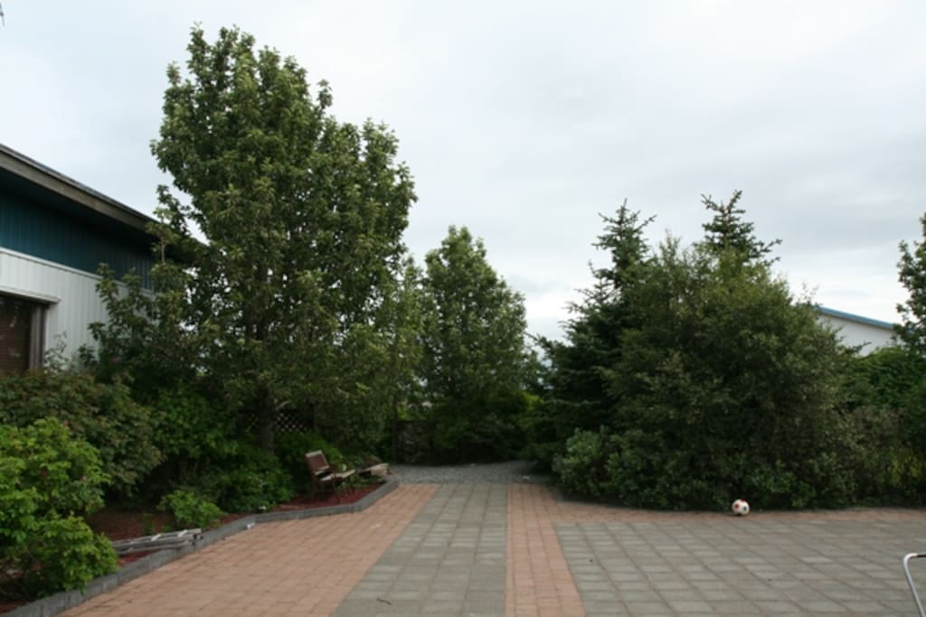 The garden.