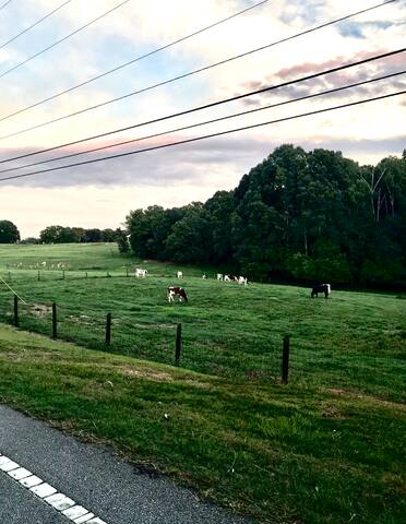 10 Best Airbnb Vacation Rentals In Clemson South Carolina Trip101