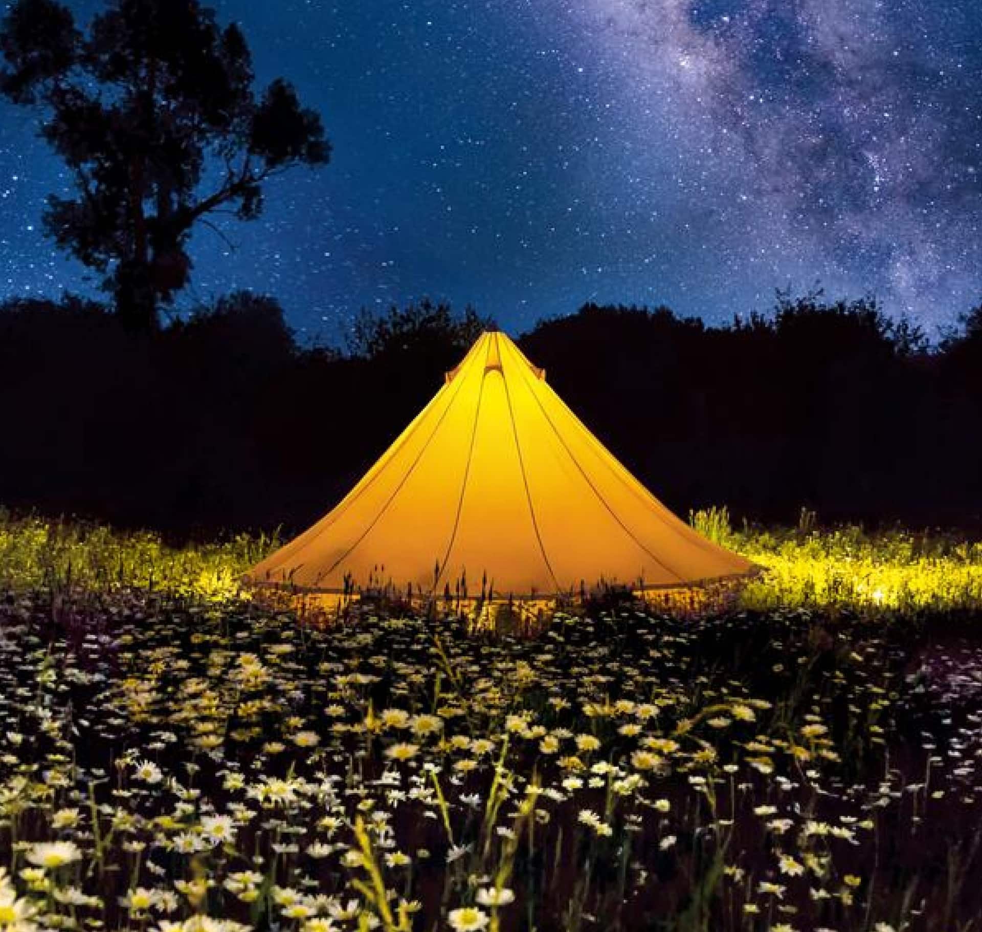 Campinguri | Una dintre cele peste 50 de categorii Airbnb