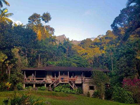 House with natural pool, sauna and barbecue area
