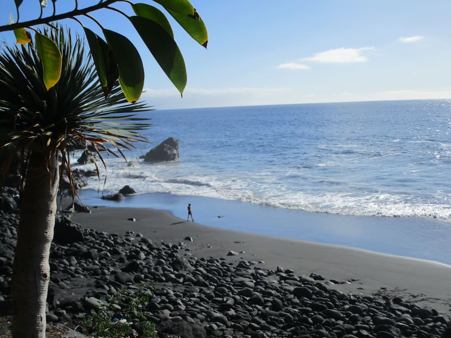 The beach in front of the house