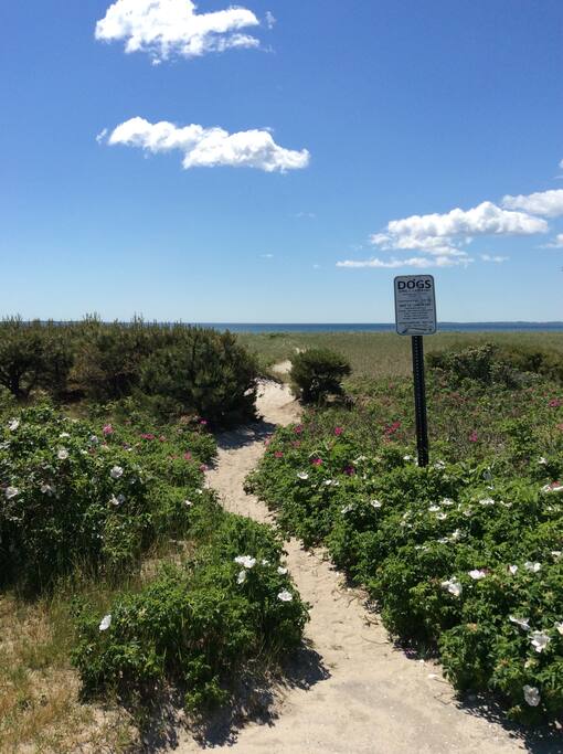 Pine Point Beach Studio Apartment Apartments for Rent in Scarborough