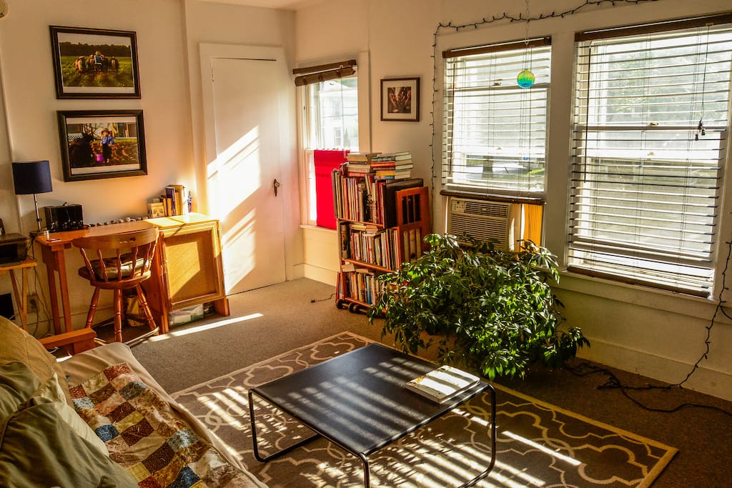 Living room facing south