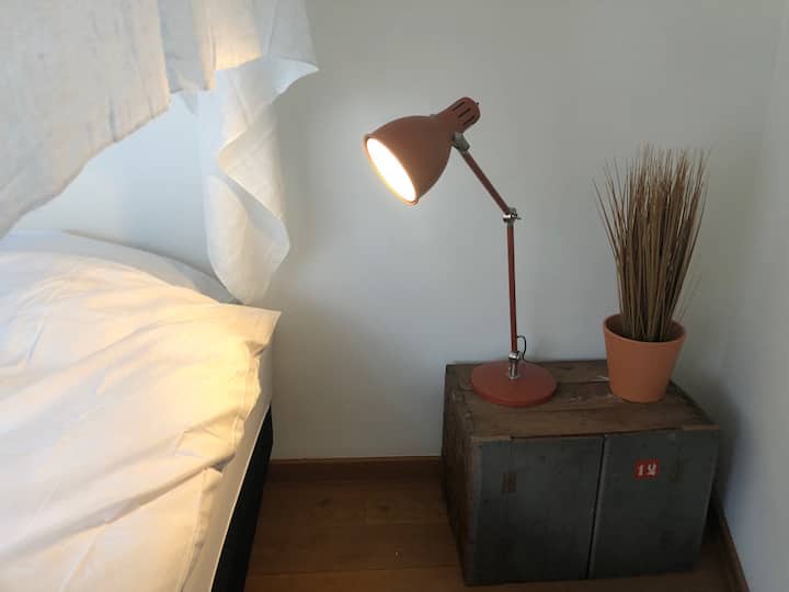 מומלץ לקרוא ספר לפני השינה ... 