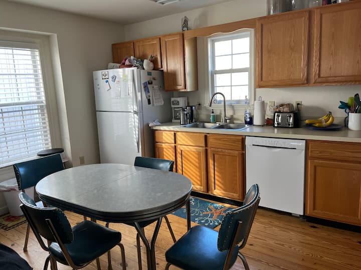 10 Best PetFriendly Rentals In Bethany Beach, Delaware Updated 2024 Trip101