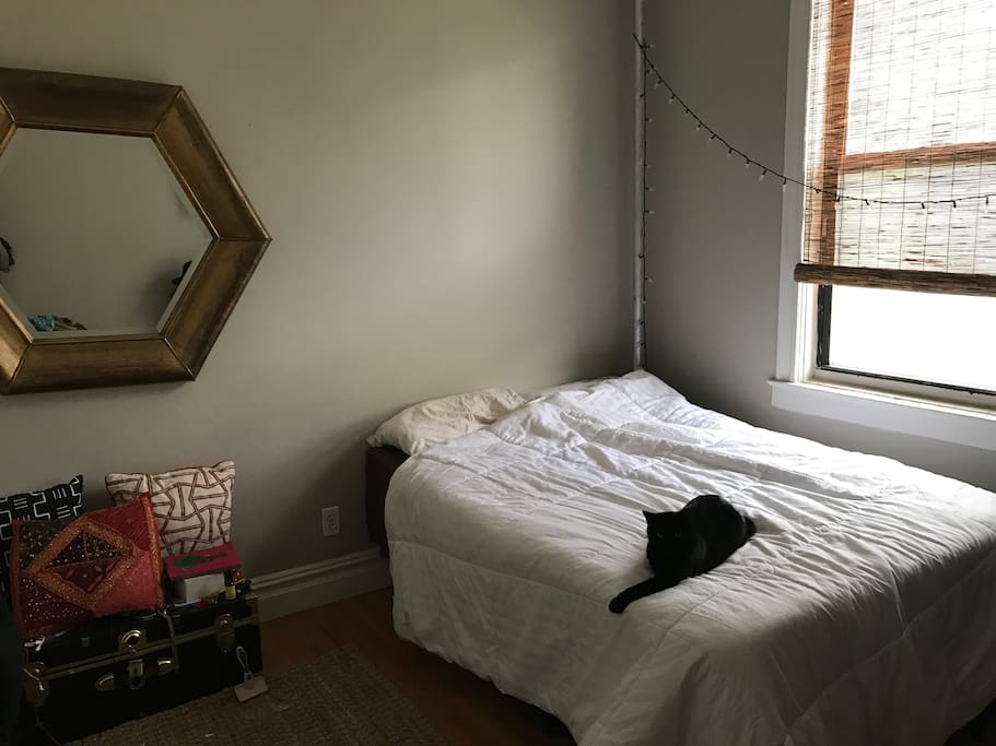 Bedroom (Cat won't be at the apartment)