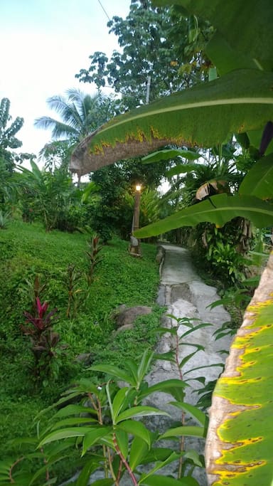 Entrance to the guesthouse property