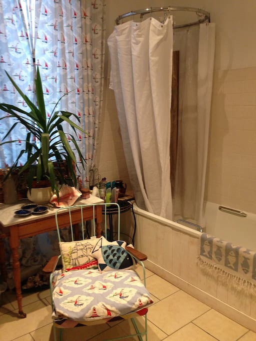 Upstairs shower/bathroom