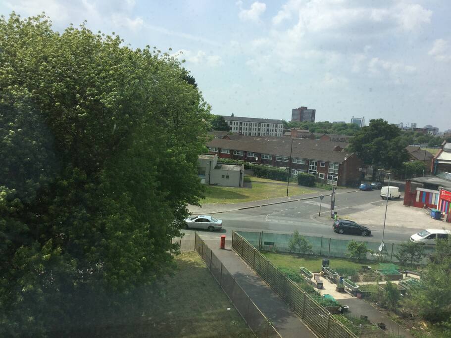 Bed room view through the window