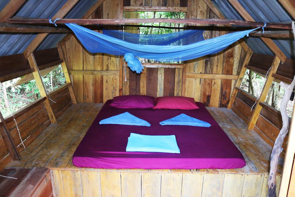 Bird's Nest interior