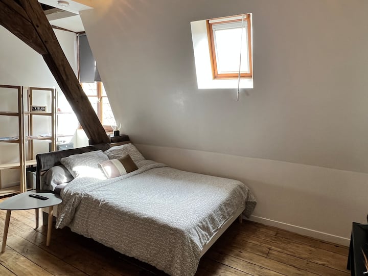 Le Herblot, T1 30m2 Et Sa Cour Champenoise Pavée - Troyes