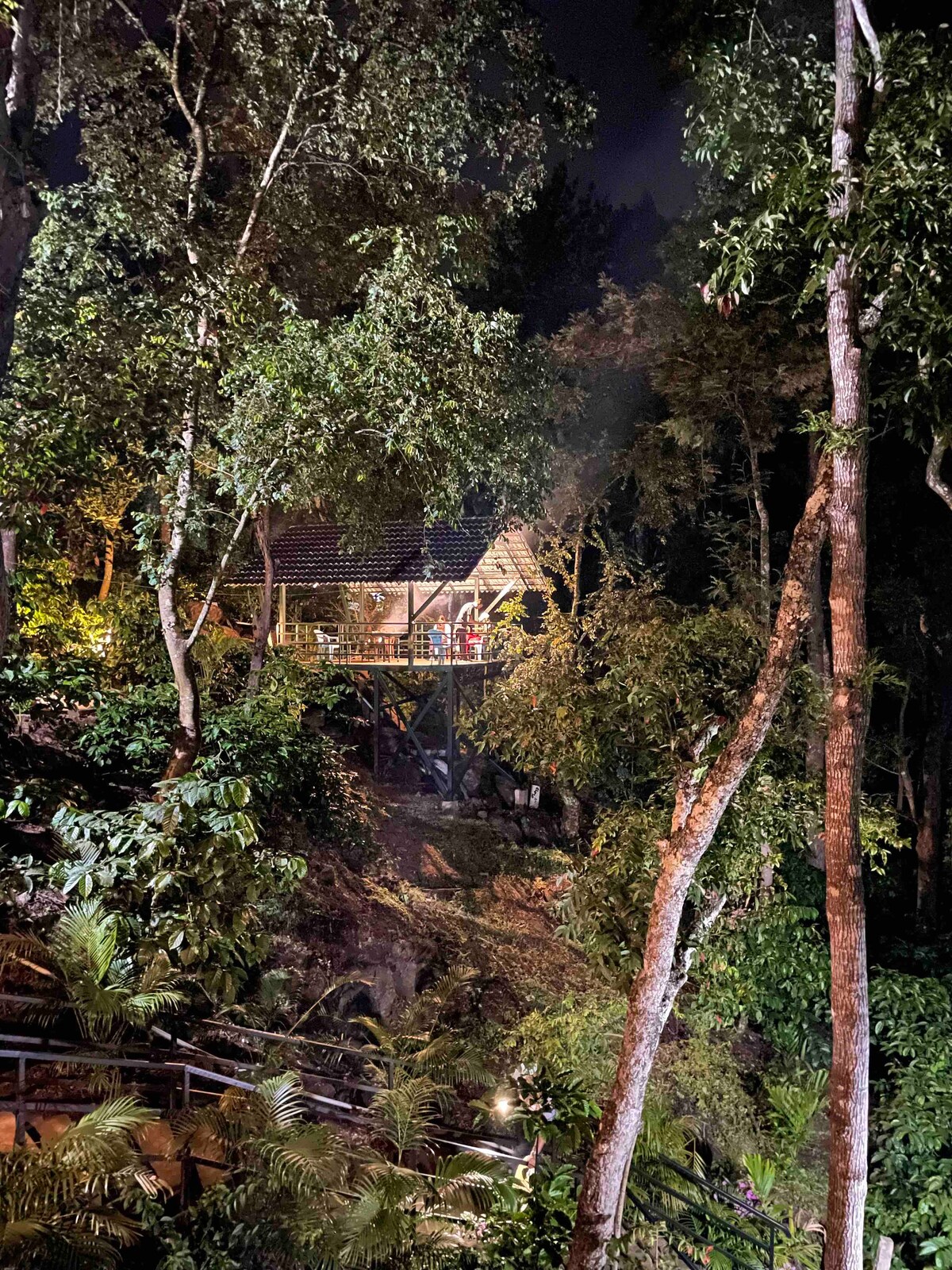 A charming cottage gently illuminated at night is nestled among lush greenery, surrounded by towering trees. The structure features a wooden deck, blending with the natural landscape. Soft light spills from the windows, creating a serene and inviting ambiance amidst the tranquil forest setting.