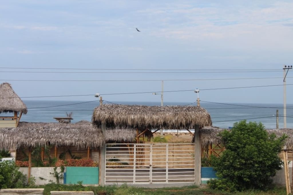 Ocean view