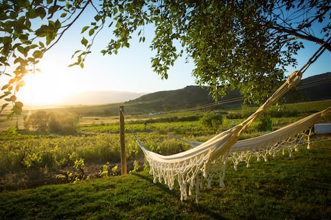 Badenhorst Family Farm Stay - Winemakers Cottage