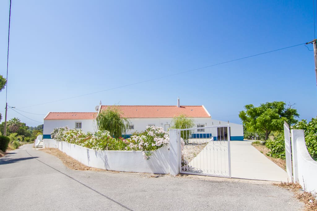 The house is situated in a beautiful valley, on the premises you will find fig trees with fresh figs ready to eat in August...