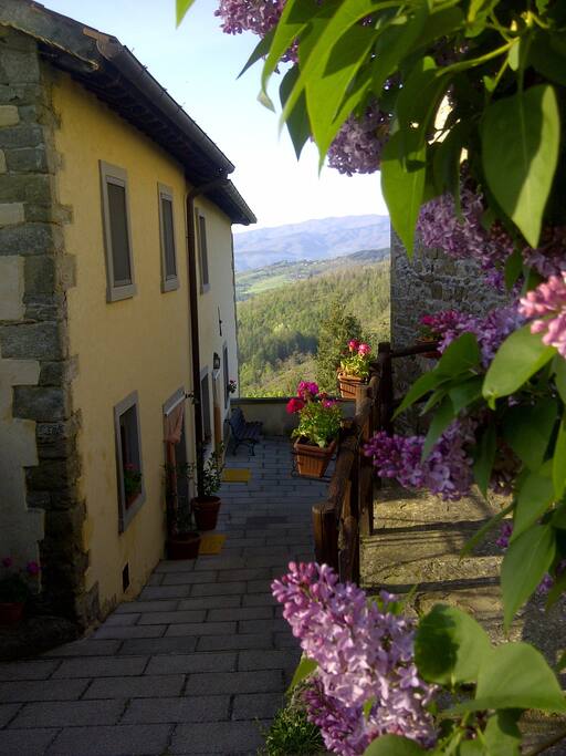 Il Borgo