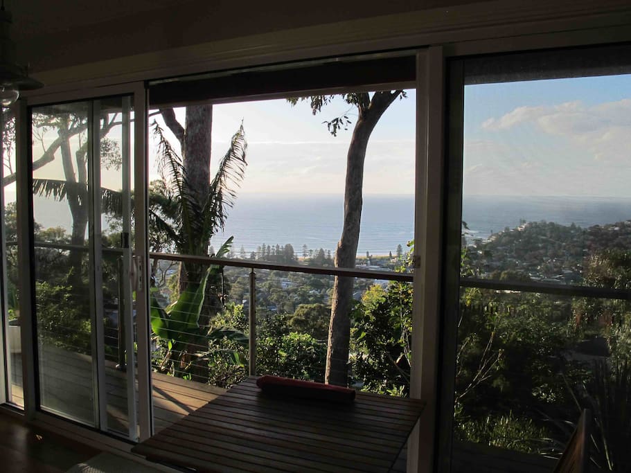 View from the studio