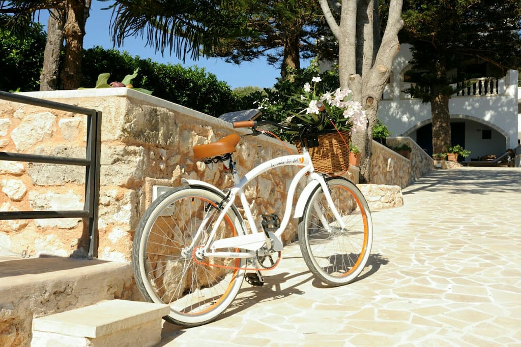 Bikes available