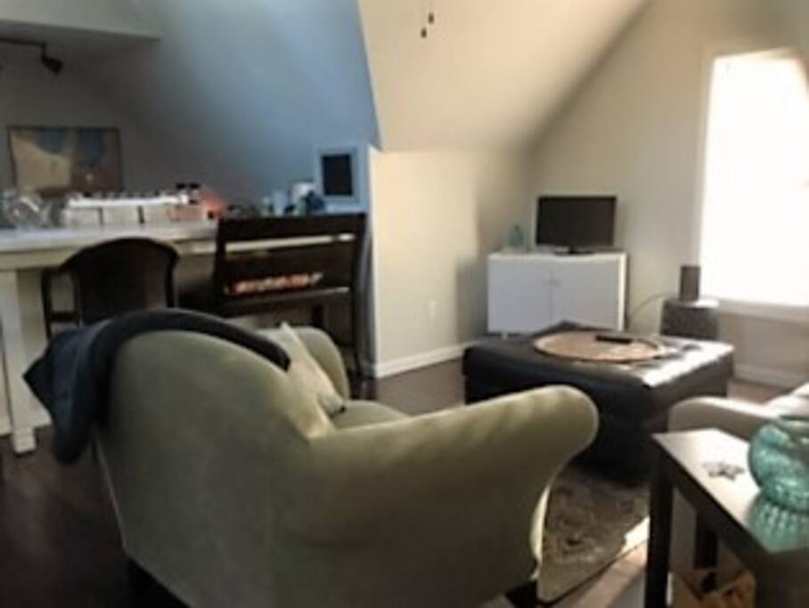 Comfy Living Area with Sofa Bed (full size) - lots of natural light