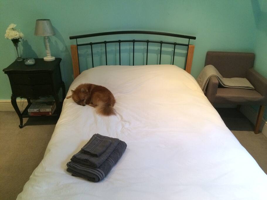 Beautiful, large, peaceful, Double bedroom. Dog not included.