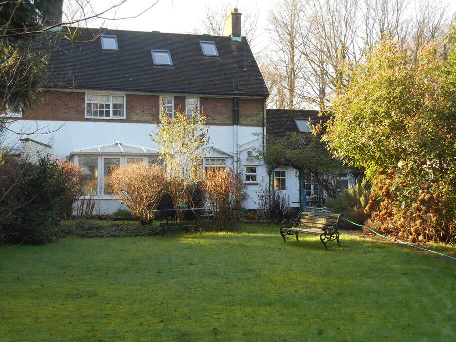 The back garden
