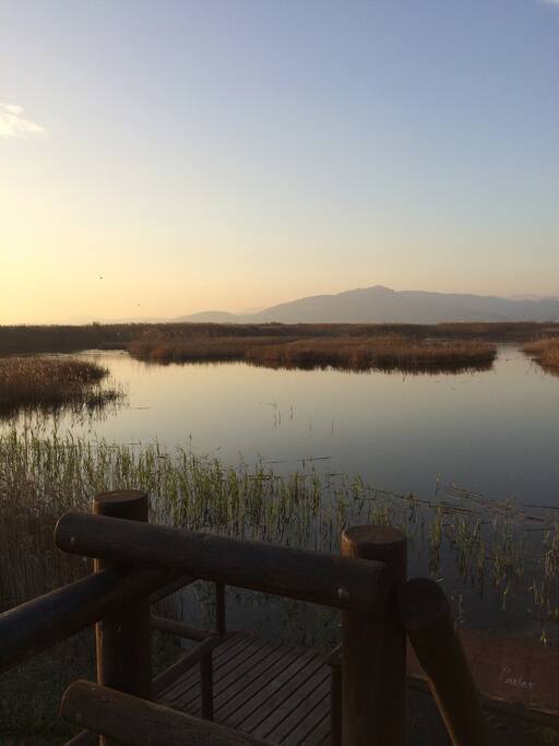 Marjal del Moro (Wetland, 4km.)