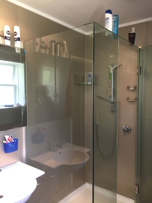 The shower, modern and clean