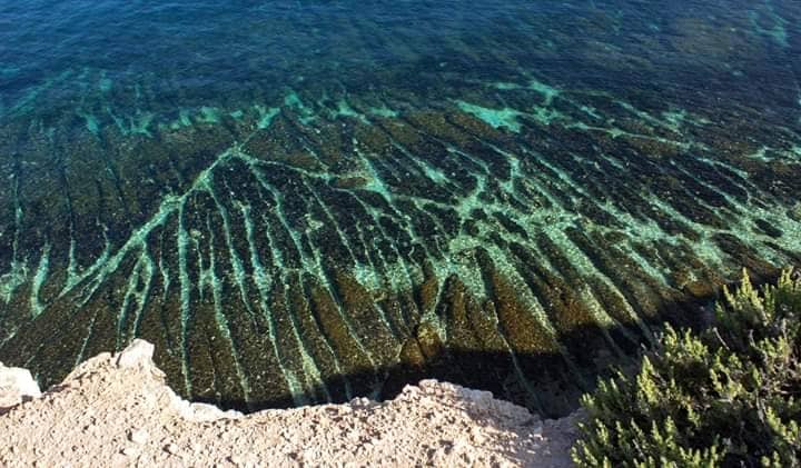 Clear turquoise waters gently lap against rocky formations, revealing an intricate pattern of natural lines beneath the surface. Sunlight filters through, highlighting the vibrant green and brown tones of the underwater landscape, while lush coastal vegetation borders the scene.
