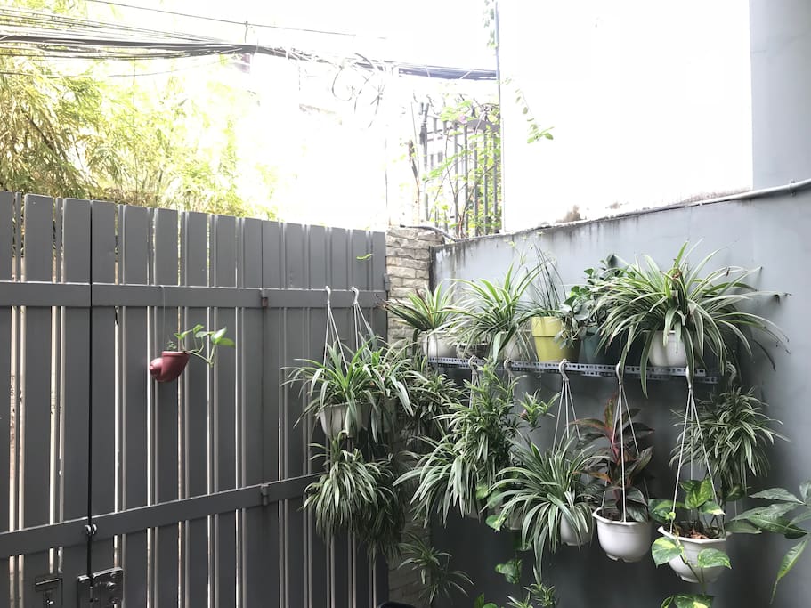 My house is very green