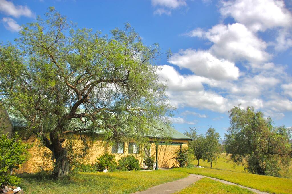 Rear of house