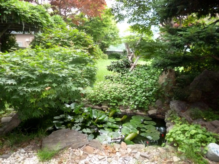 deep woods and huge japanese style garden