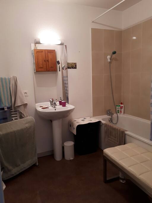 Salle de bain avec baignoire