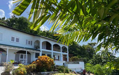 Caribbean Birds - Pelicans sea view pool.