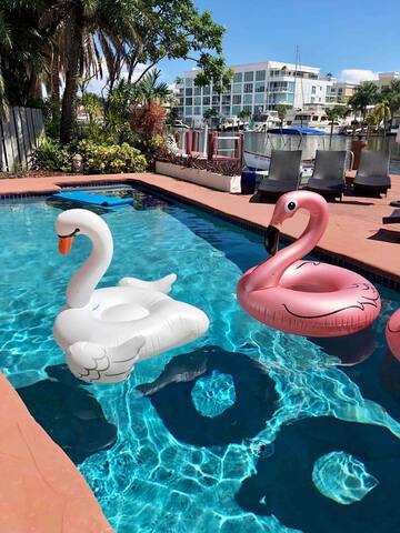 Casa Navarro on Las Olas Isles gallery image 2