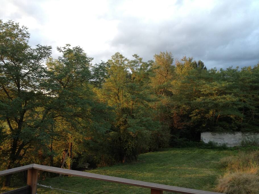 Jardin avec petite rivière tranquille dans le jardin