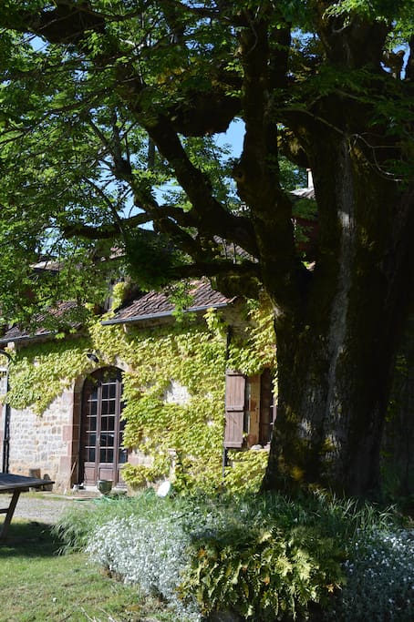 Front of barn