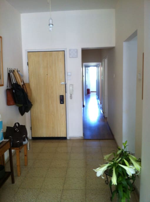 The hallway