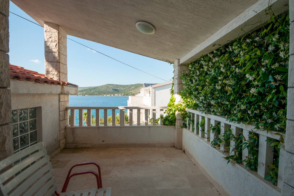 View from the Terrace