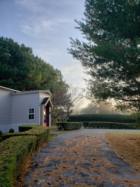 Piney Woods Cottage