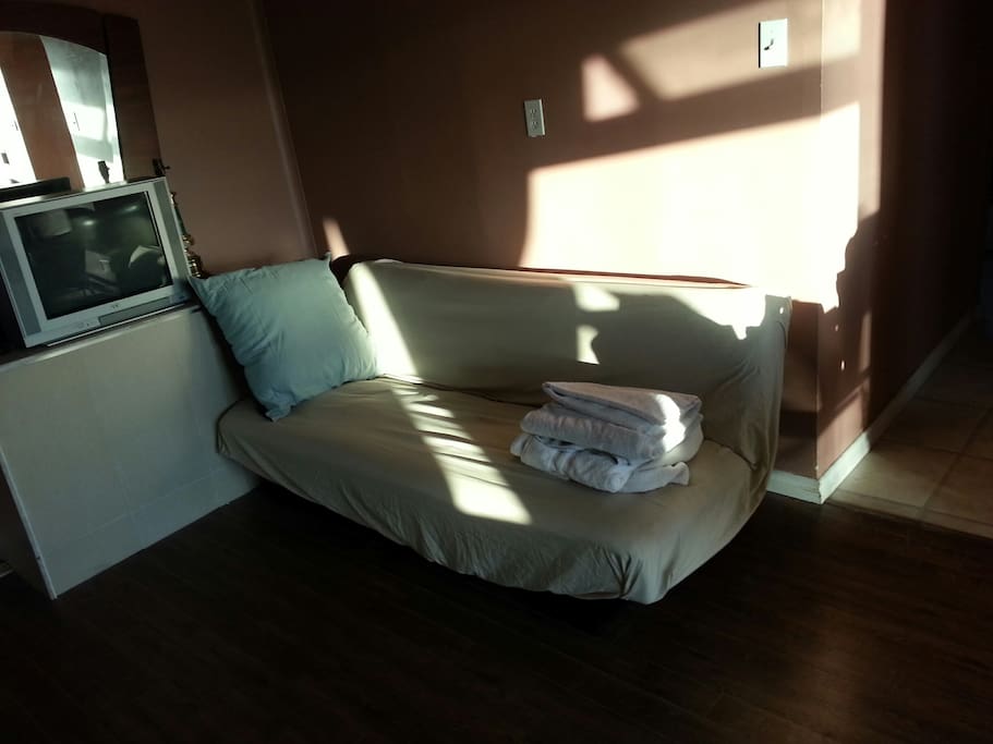 Sofa bed in living room