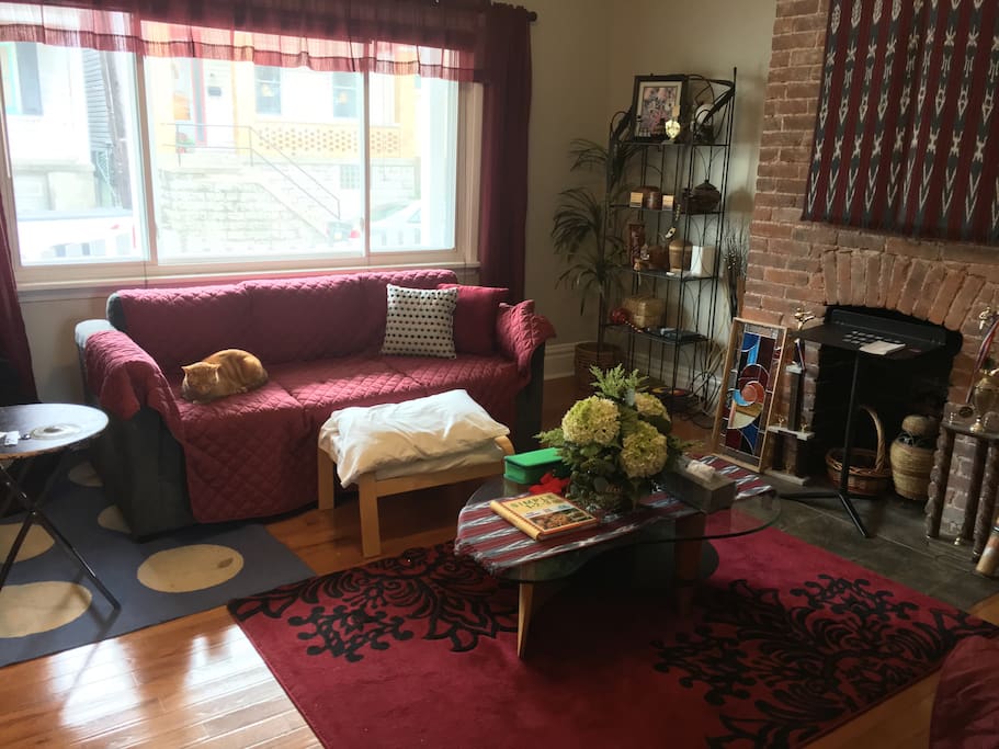 Common living room, complete with cat
