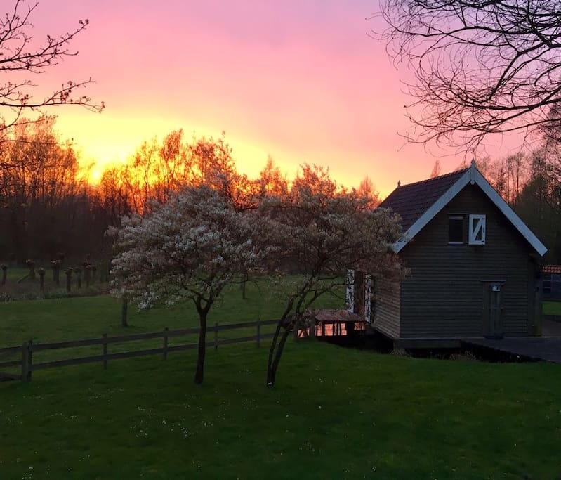 Diefdijk Cottage at sunset. Spring 2017
