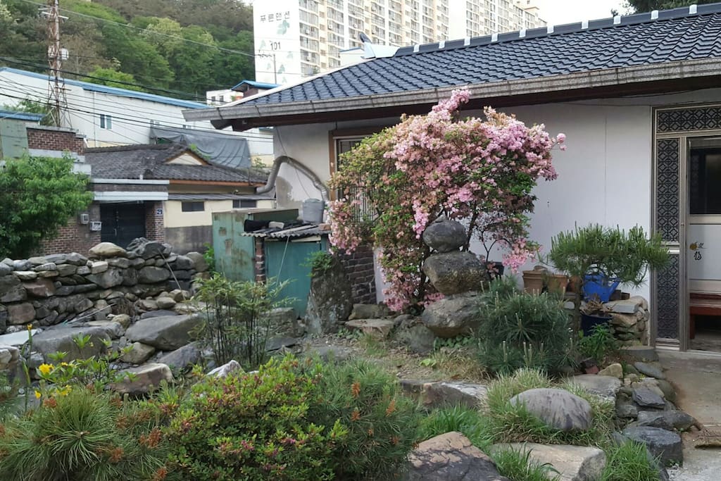 단독채 전경입니다