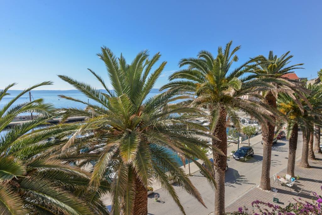 View from the window